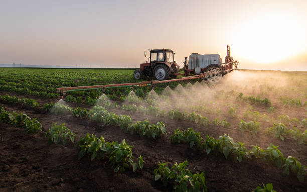 Best Pest Control Cost  in Harahan, LA