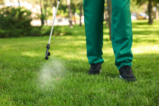Best Bird Control  in Harahan, LA