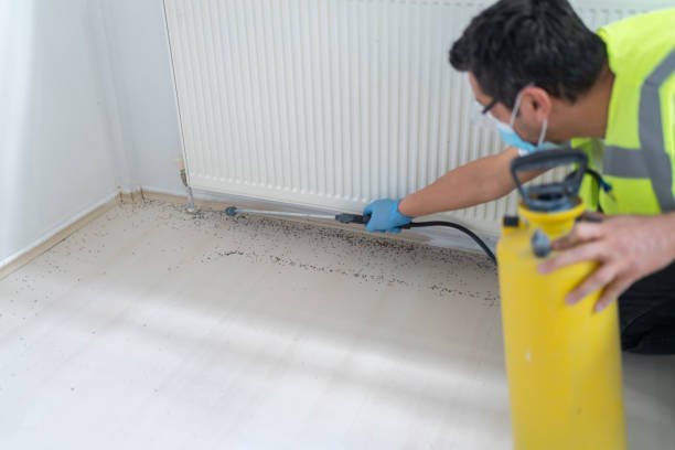 Best Termite Control Services  in Harahan, LA